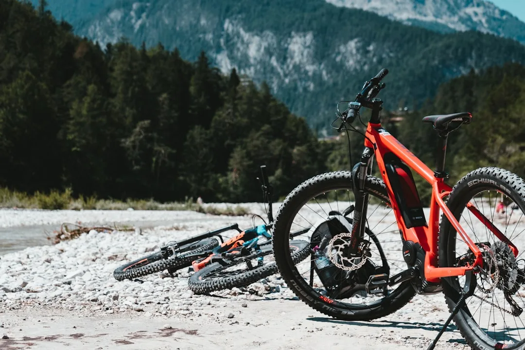 Bulls Iconic EVO TR – vue 1